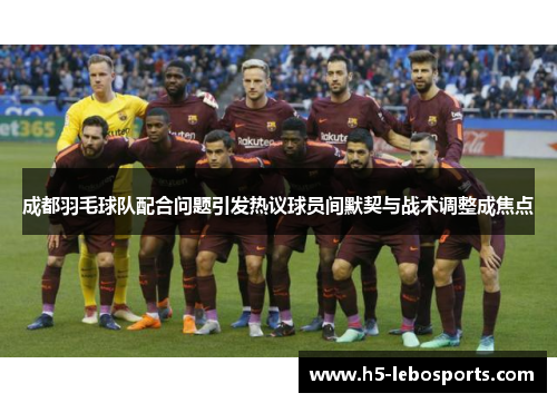 成都羽毛球队配合问题引发热议球员间默契与战术调整成焦点